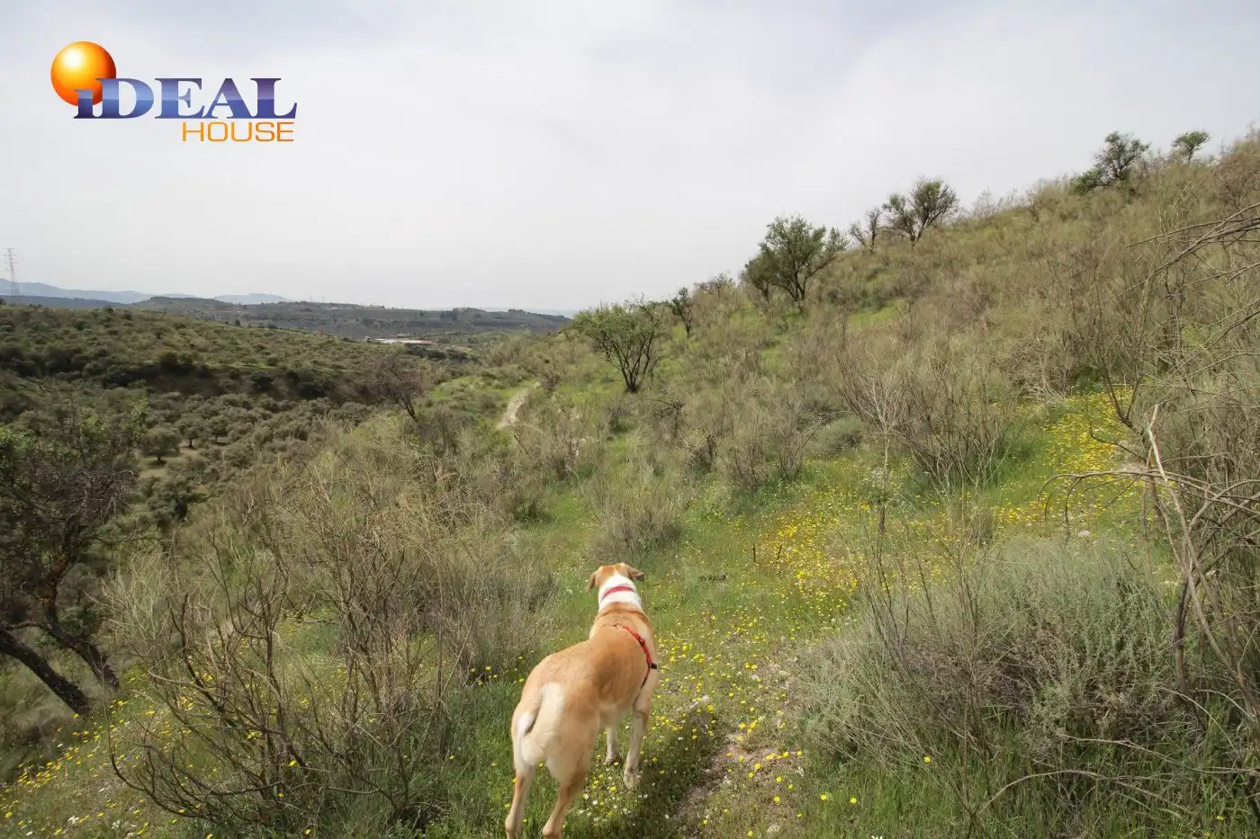 Country homes for sale in Víznar