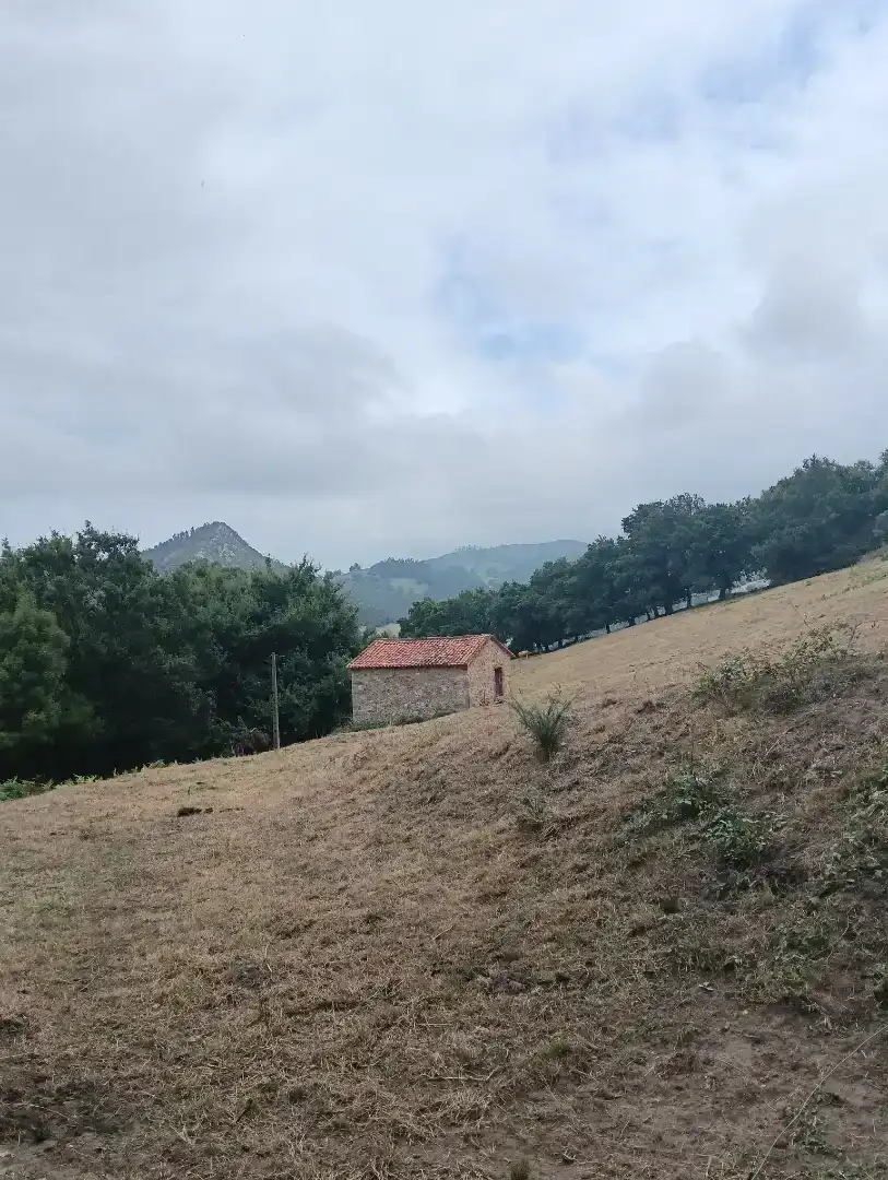 Casa o xalet en venda en Puente Viesgo