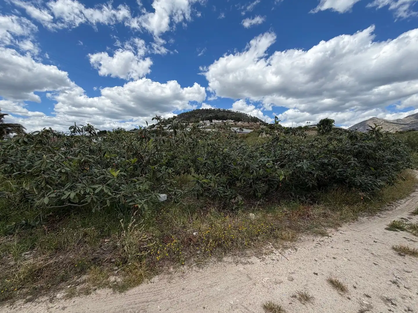 Finca rústica en venda en La Nucia amb Traster