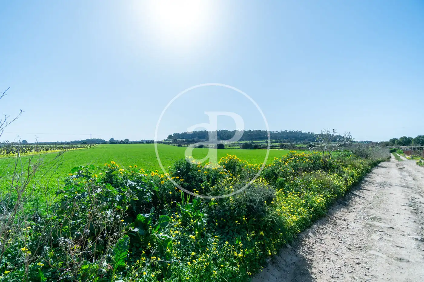 Residential for sale in Porreres