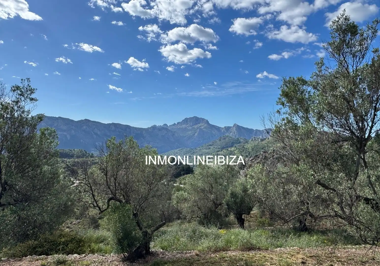 Land for sale in Tàrbena