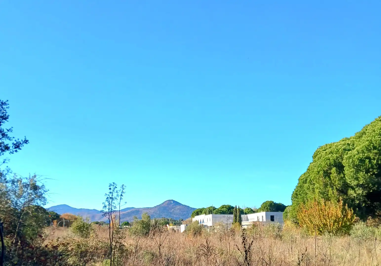 Rural land for sale in M-501, imagen 2