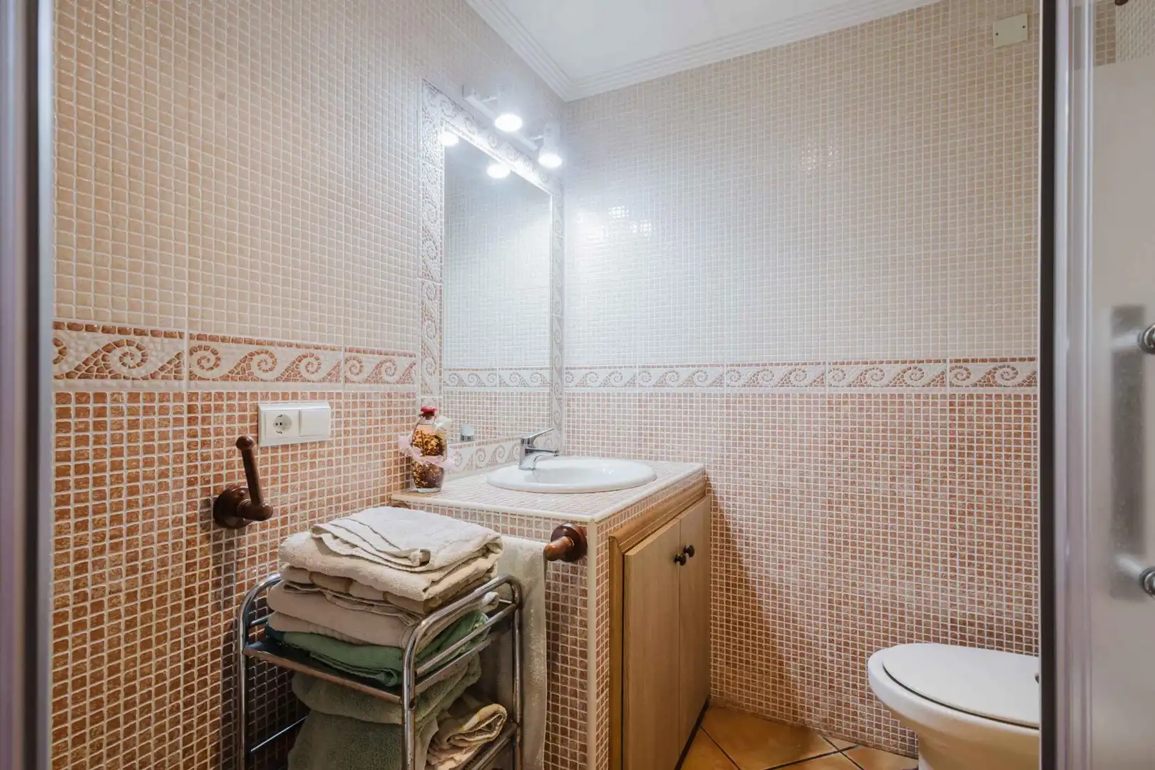 Baño de Apartamento en venta en Torrevieja con Jardín privado
