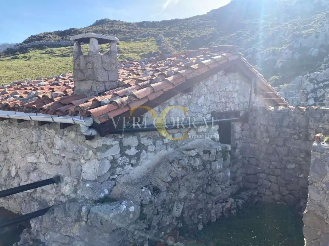 Casa o chalet en venta en Peñamellera Alta con Calefacción y Amueblado