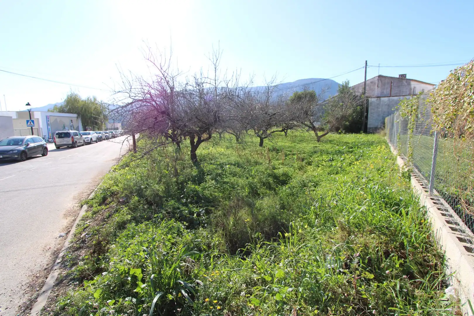 Chalet con jardín en venta en Murla, imagen 13