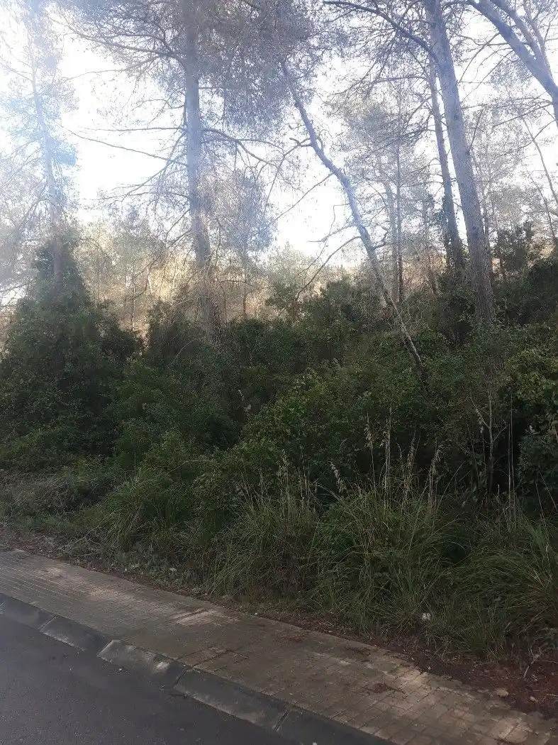 Terreno residenziale in vendita a Carrer el Fonoll 14, imagen 4
