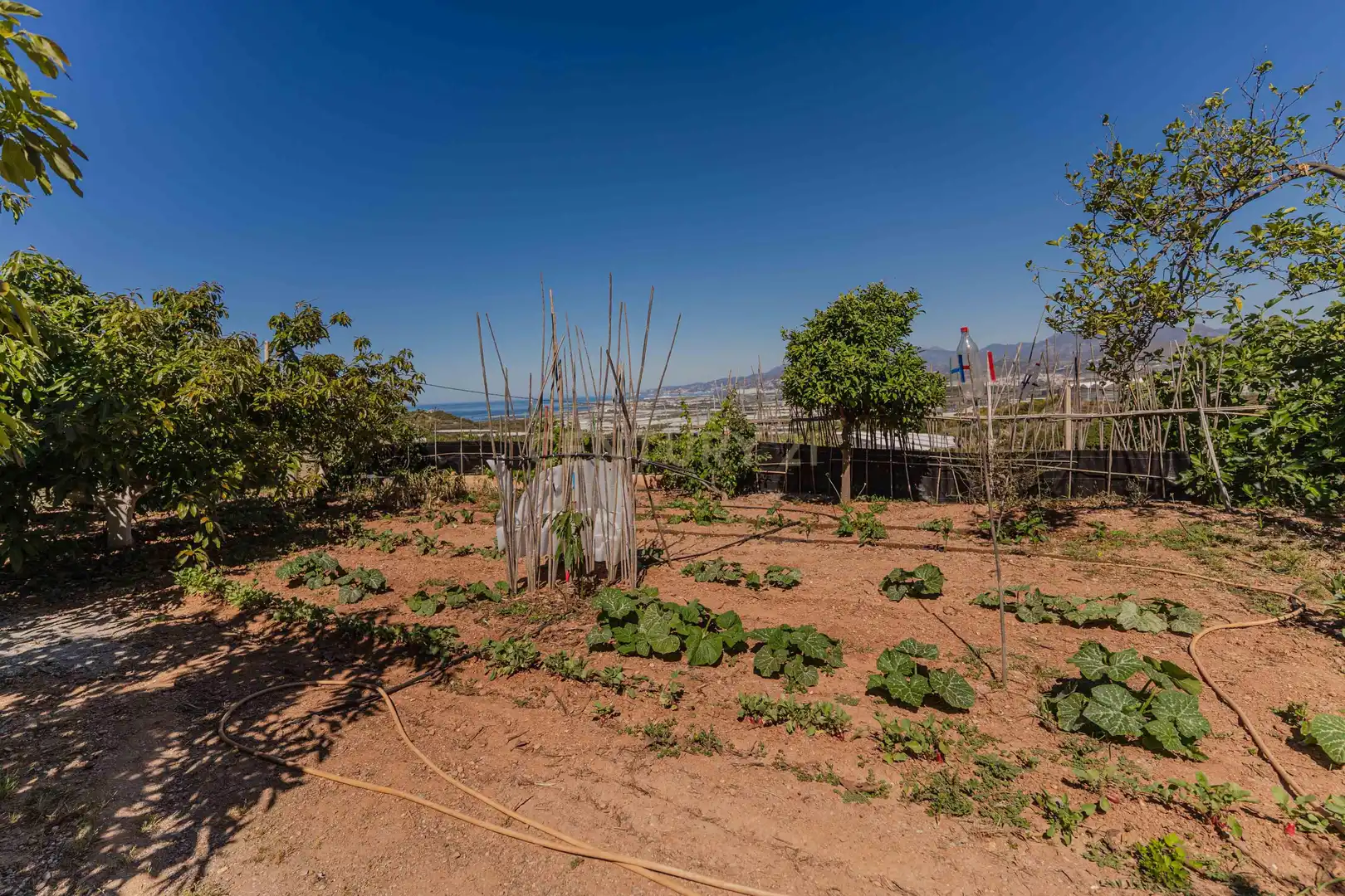 Casa o chalet en venta en Motril