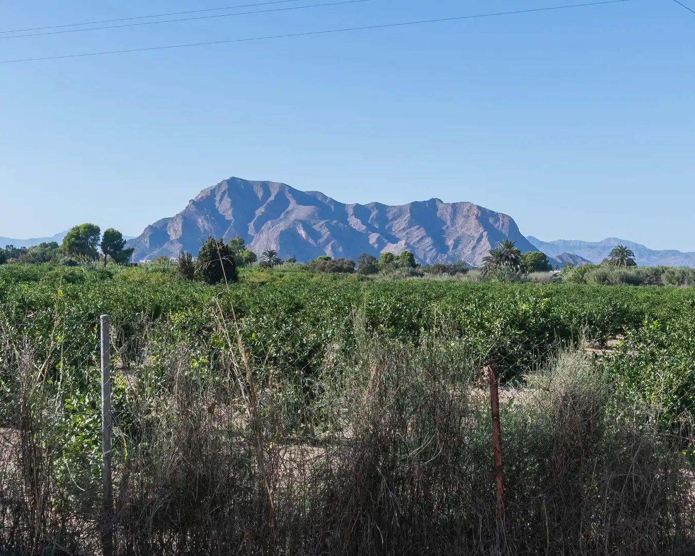 Flat for sale in Benejúzar, Alicante