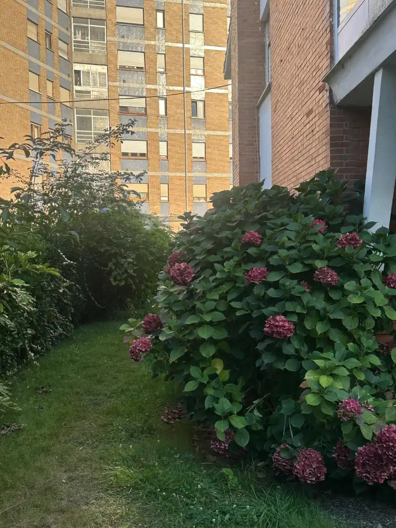 Garden of Detached homes for sale in Castrillón  with Private garden and Terrace
