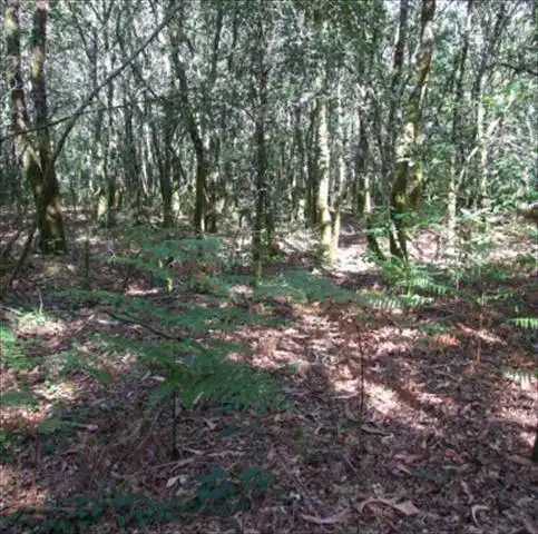 Rural land for sale in Parroquias Rurales, imagen 2