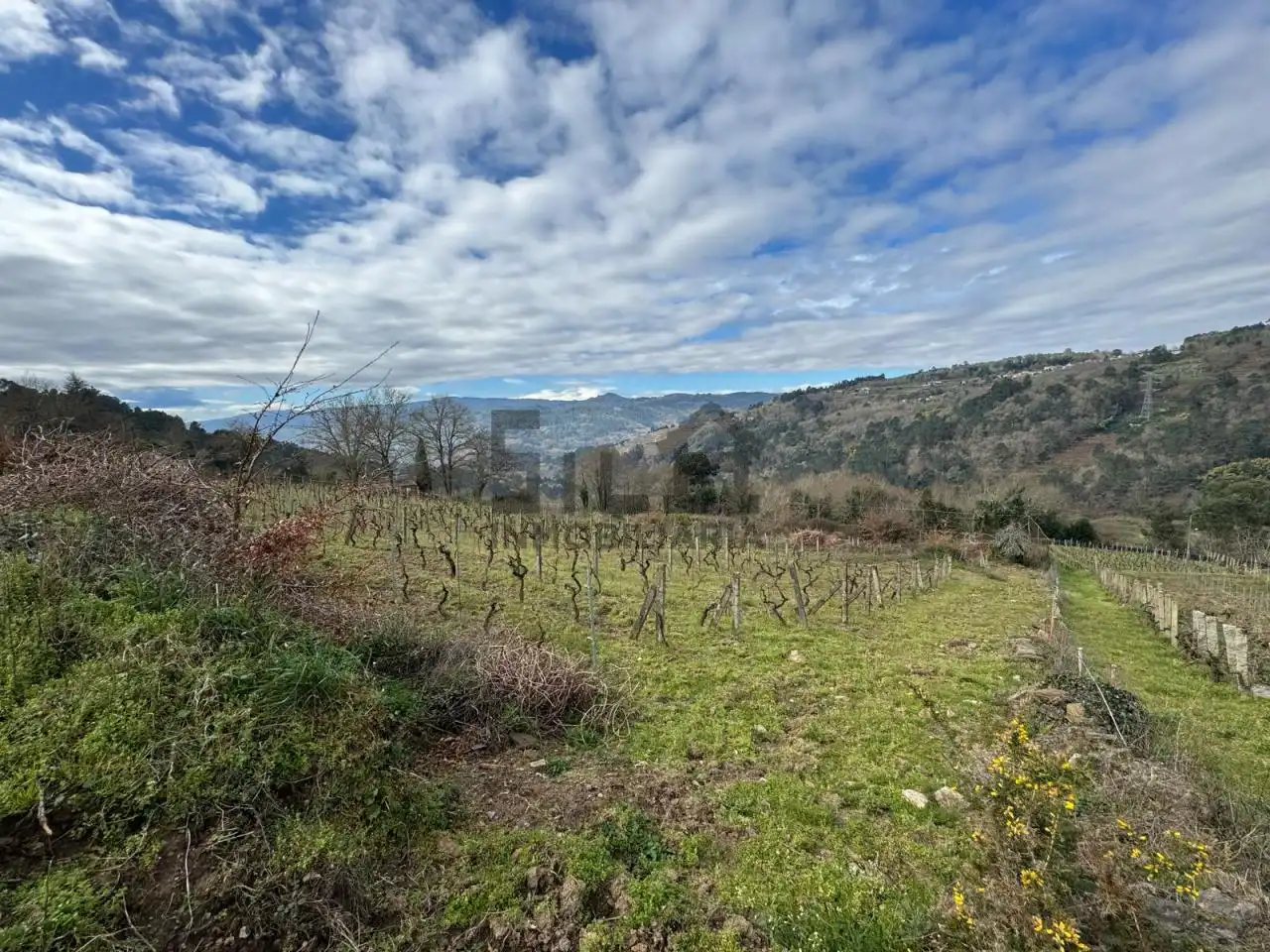 Casa o chalet en venta en San Amaro