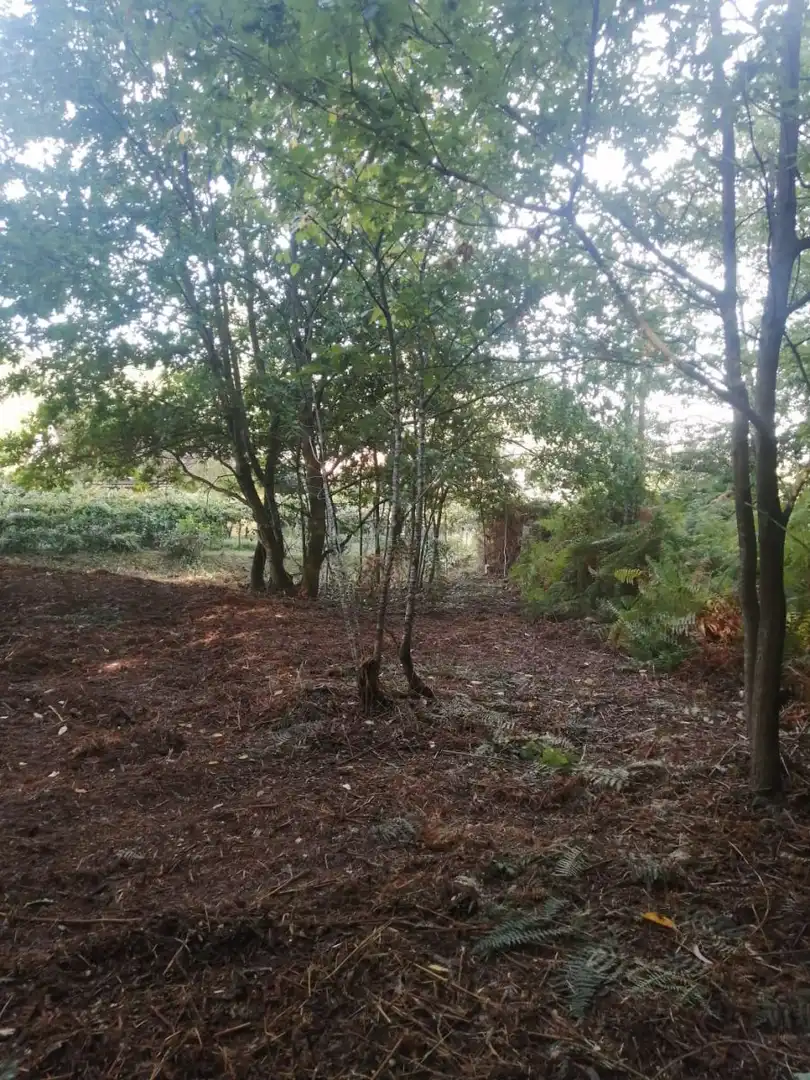 Finca rústica en venta en Ponteareas