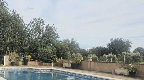 Foto 2 de Finca rústica en venta en Llucmajor pueblo, Llucmajor