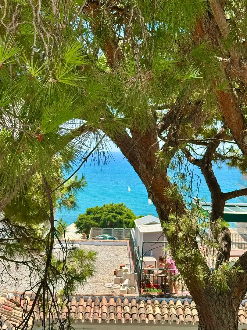 Exterior view of Apartments for rent in Solymar
