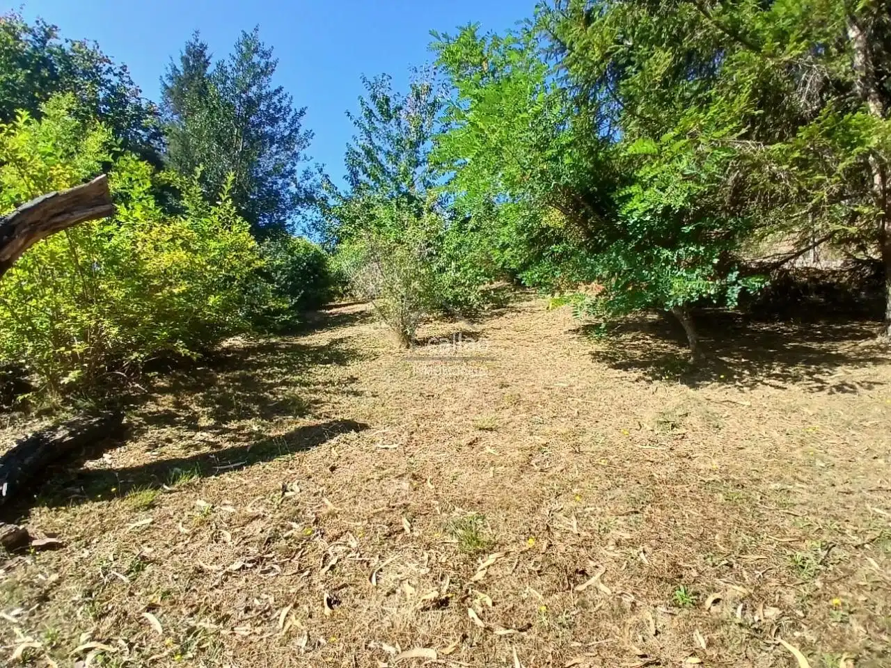 Casa o xalet en venda en San Sadurniño amb Jardí privat i Moblat