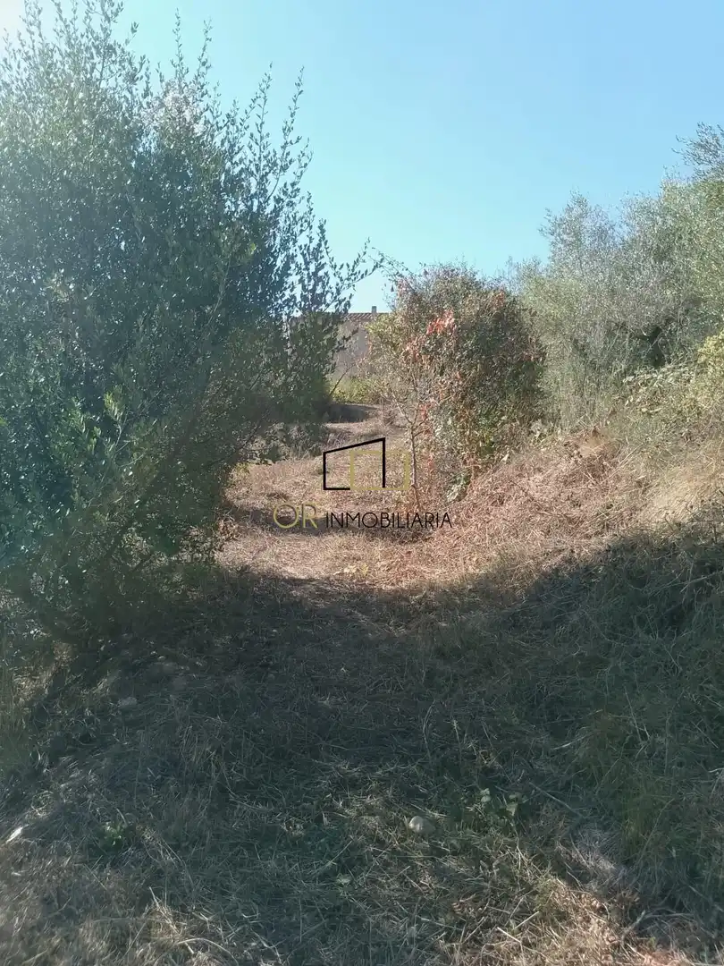 Casa con giardino in vendita a Mediona, imagen 18