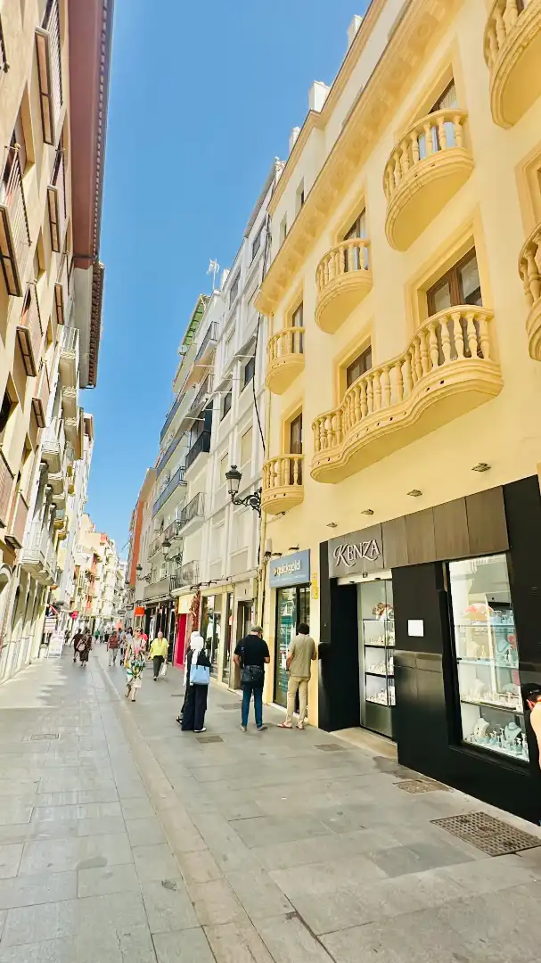 Exterior view of Flat for rent in Granada  with Air Conditioner, Heating and Parquet flooring