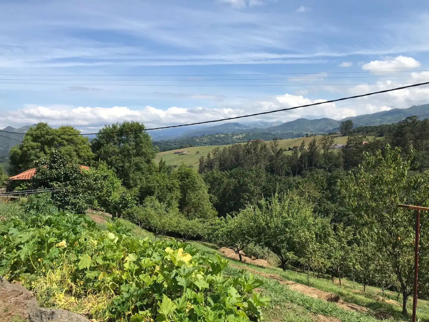 Terrenos y solares en venta en Cuadroveña