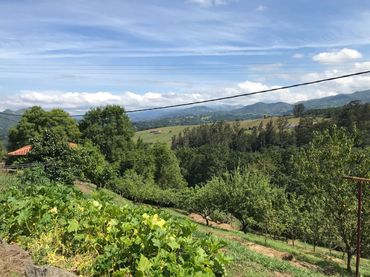 Terrenys i solars en venda a Cuadroveña