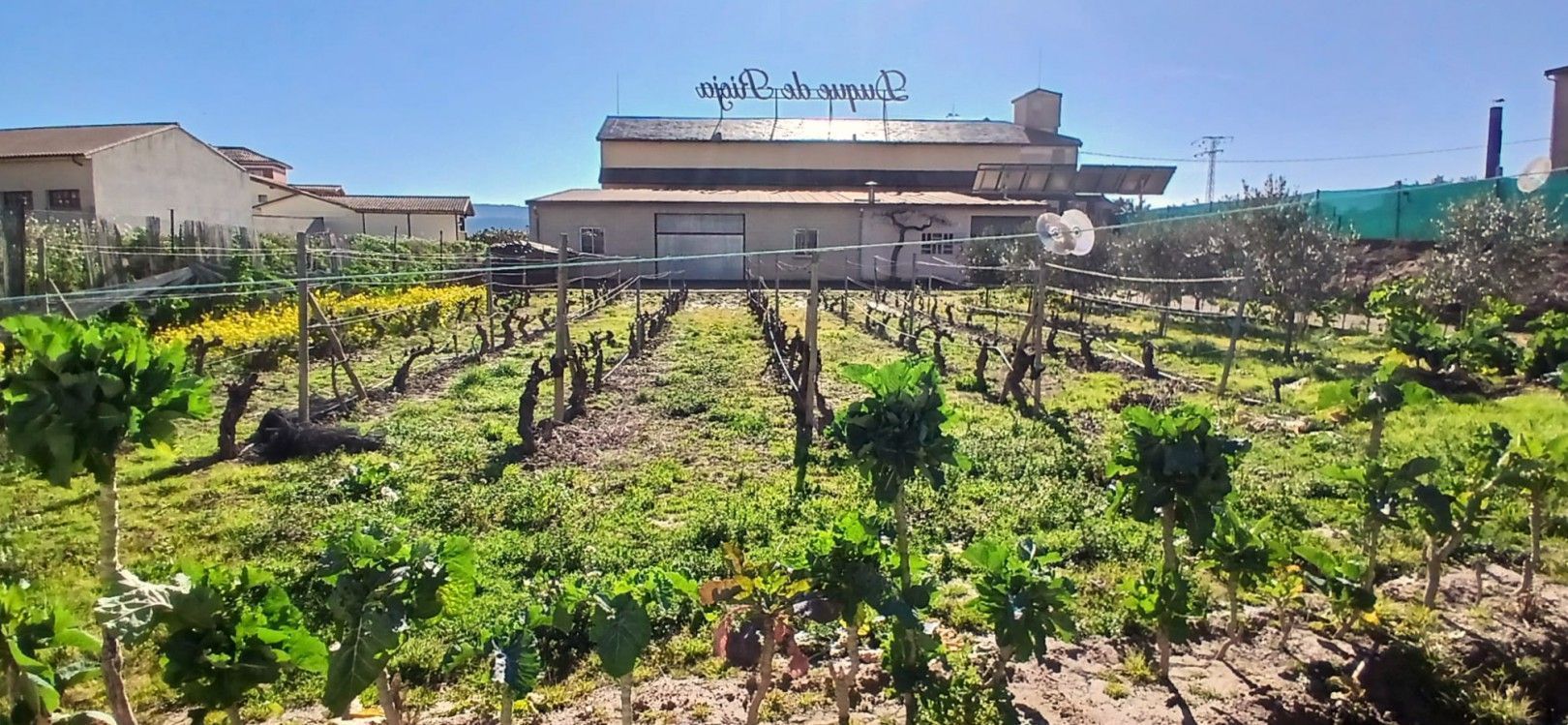 Casa o xalet en venda en Lapuebla de Labarca amb Traster