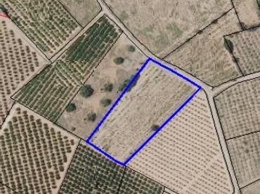 Terreno rustico in vendita a Los Pinares - La Masia