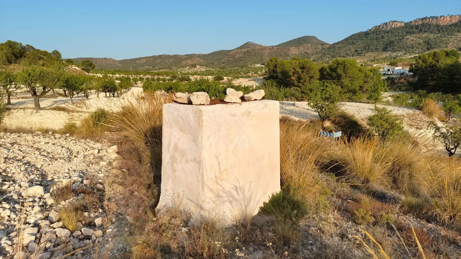 Terreno rustico in vendita a Jumilla, imagen 15
