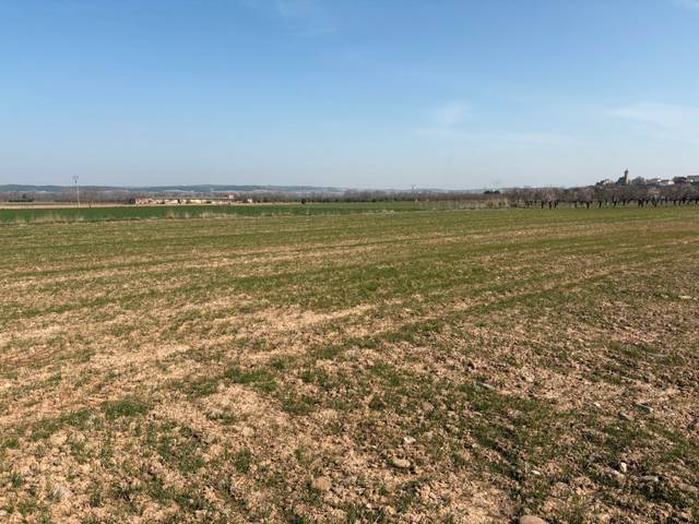 Terreno en Venta en Arrúbal