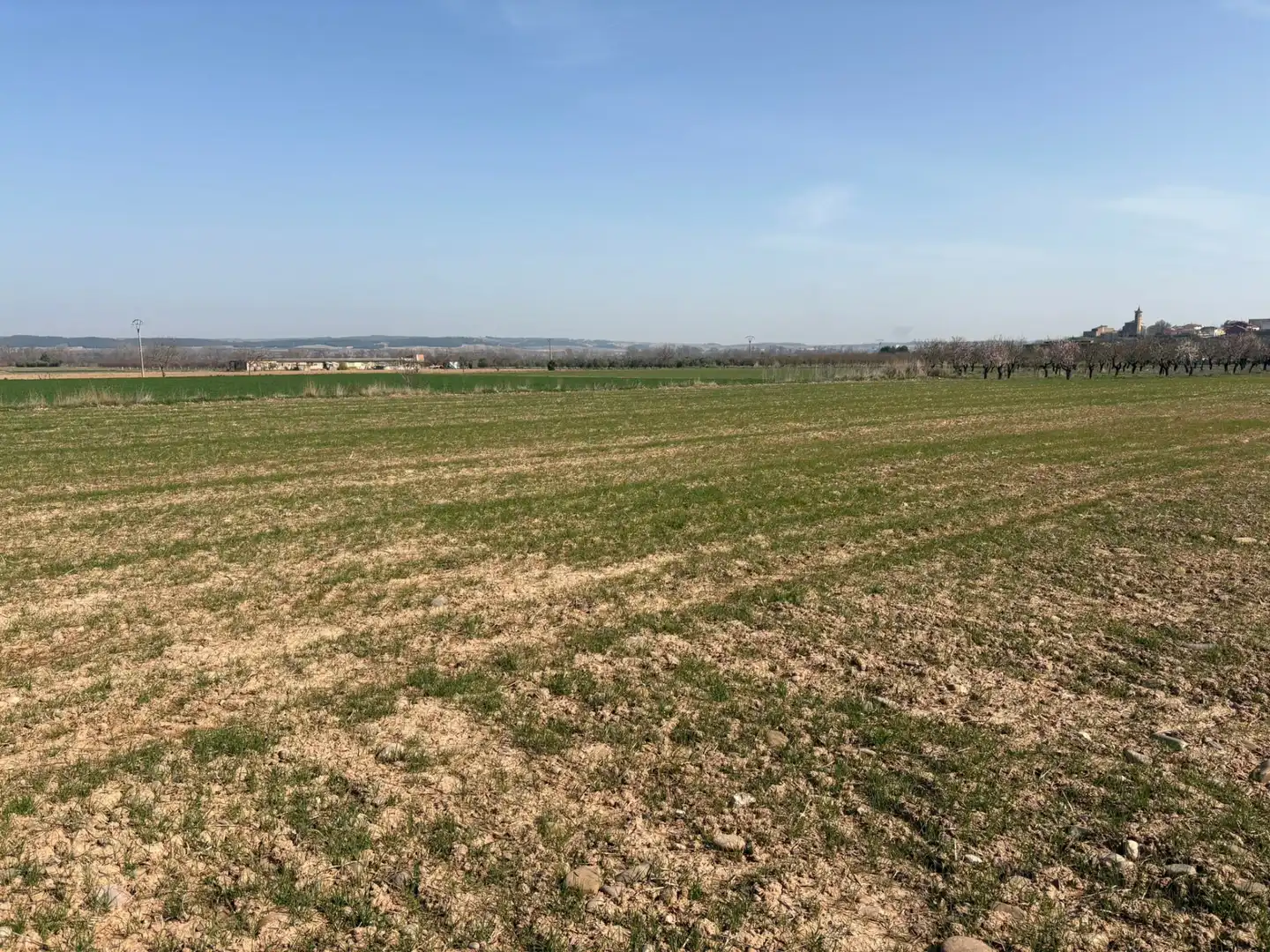 Terreno rustico in vendita a Arrúbal