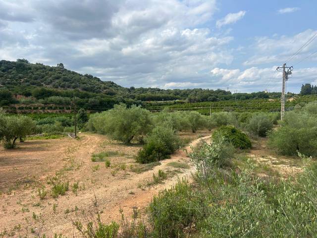 Terreno en Venta en Freginals