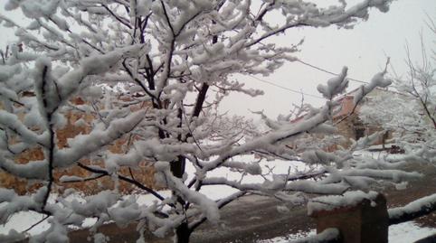 Foto 5 de Finca rústica en venda a Albentosa, Teruel
