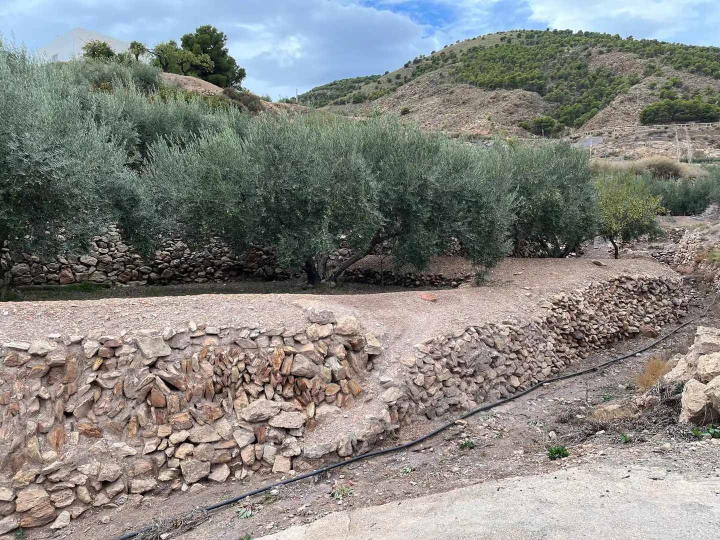 Terreno rustico in vendita a Calle Ronda, imagen 2