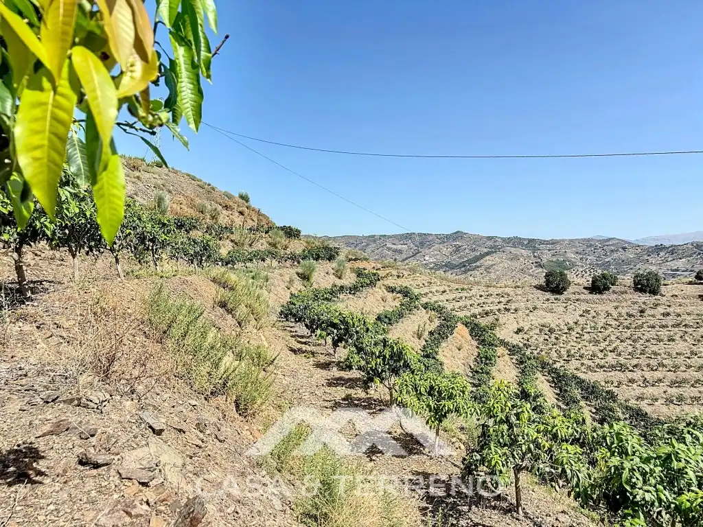 House for sale in Lagar Juan María Rebombeo, Cajiz, imagen 13