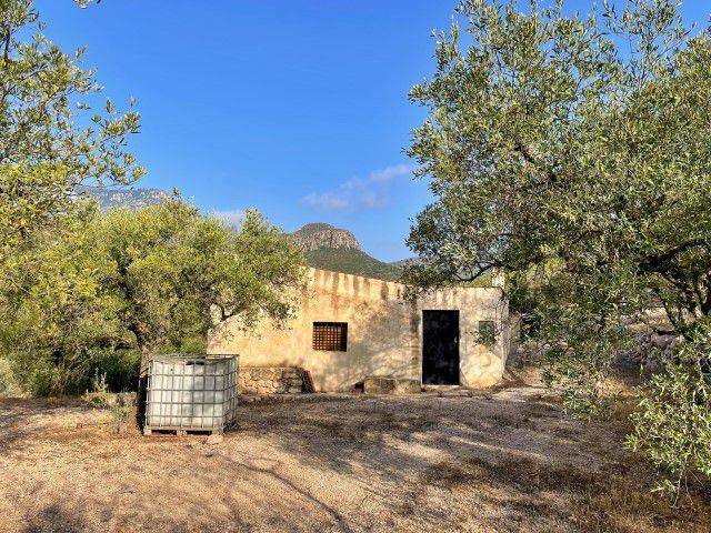Finca rústica en Venta en Aldover