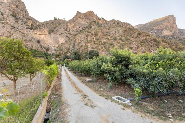 Terreno en Venta en Vélez de Benaudalla