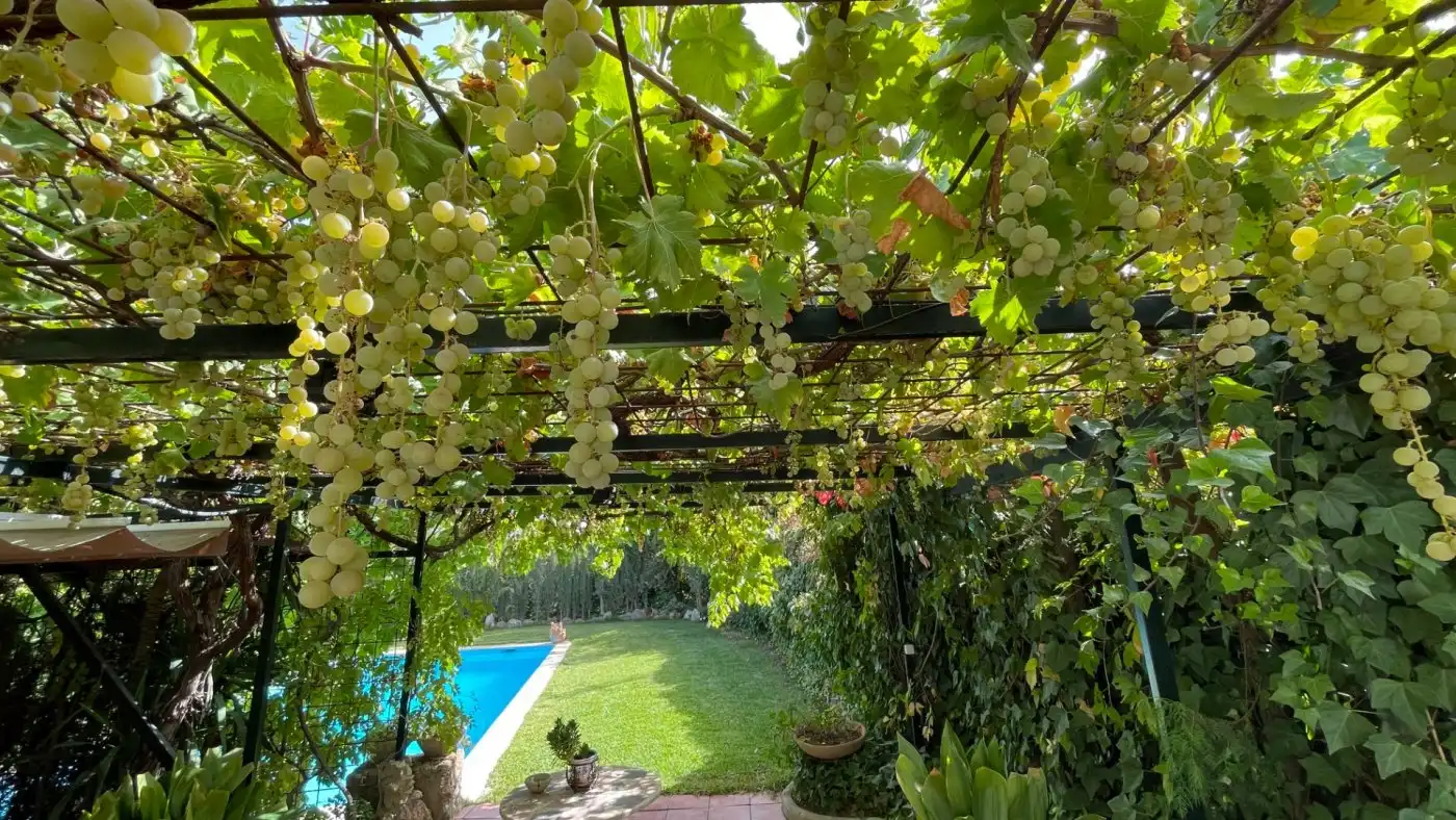 Jardí de Casa o xalet en venda en Carcabuey amb Calefacció, Jardí privat i Terrassa
