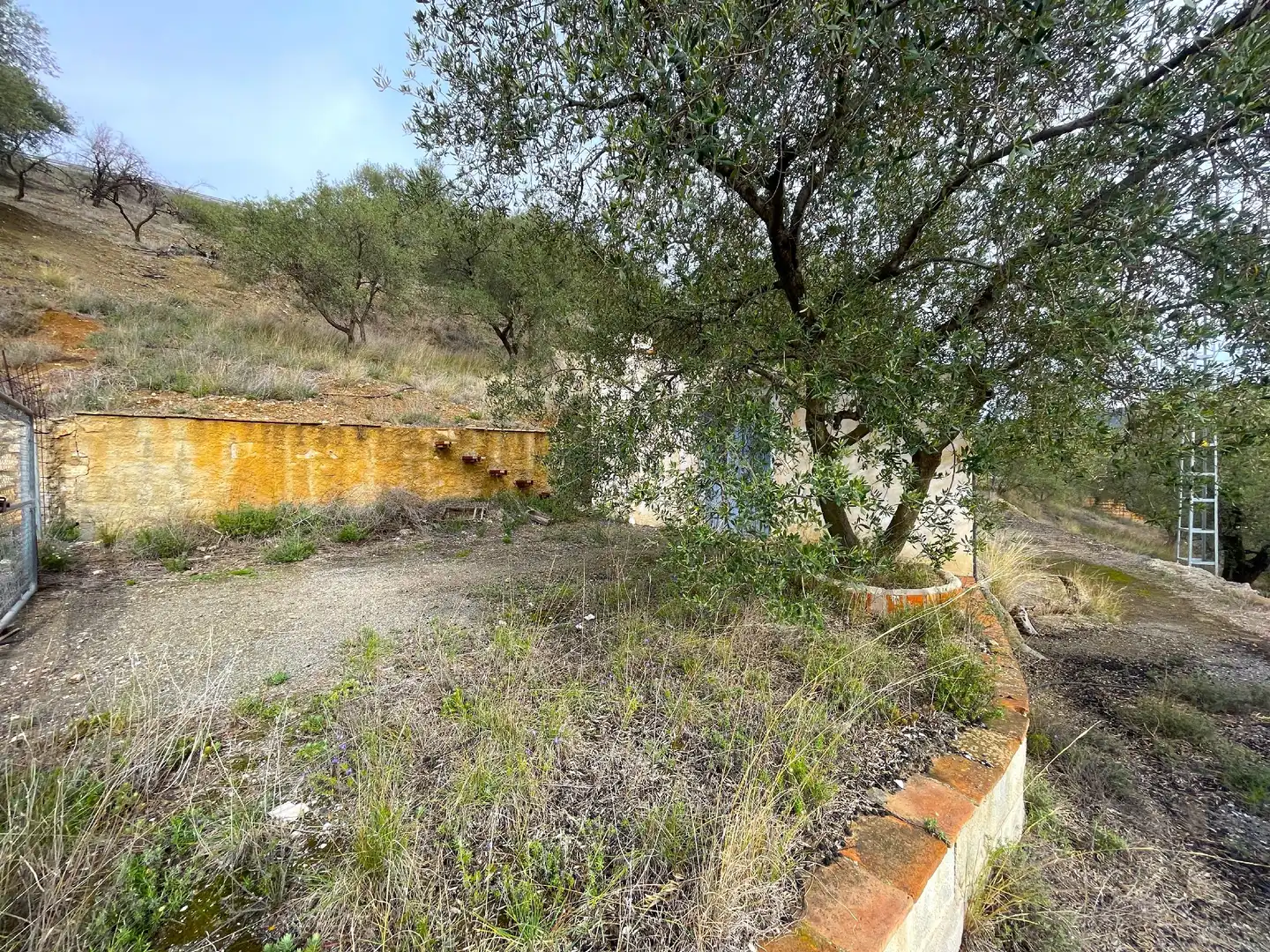 Casa rústica en venda a Canillas de Aceituno, imagen 7