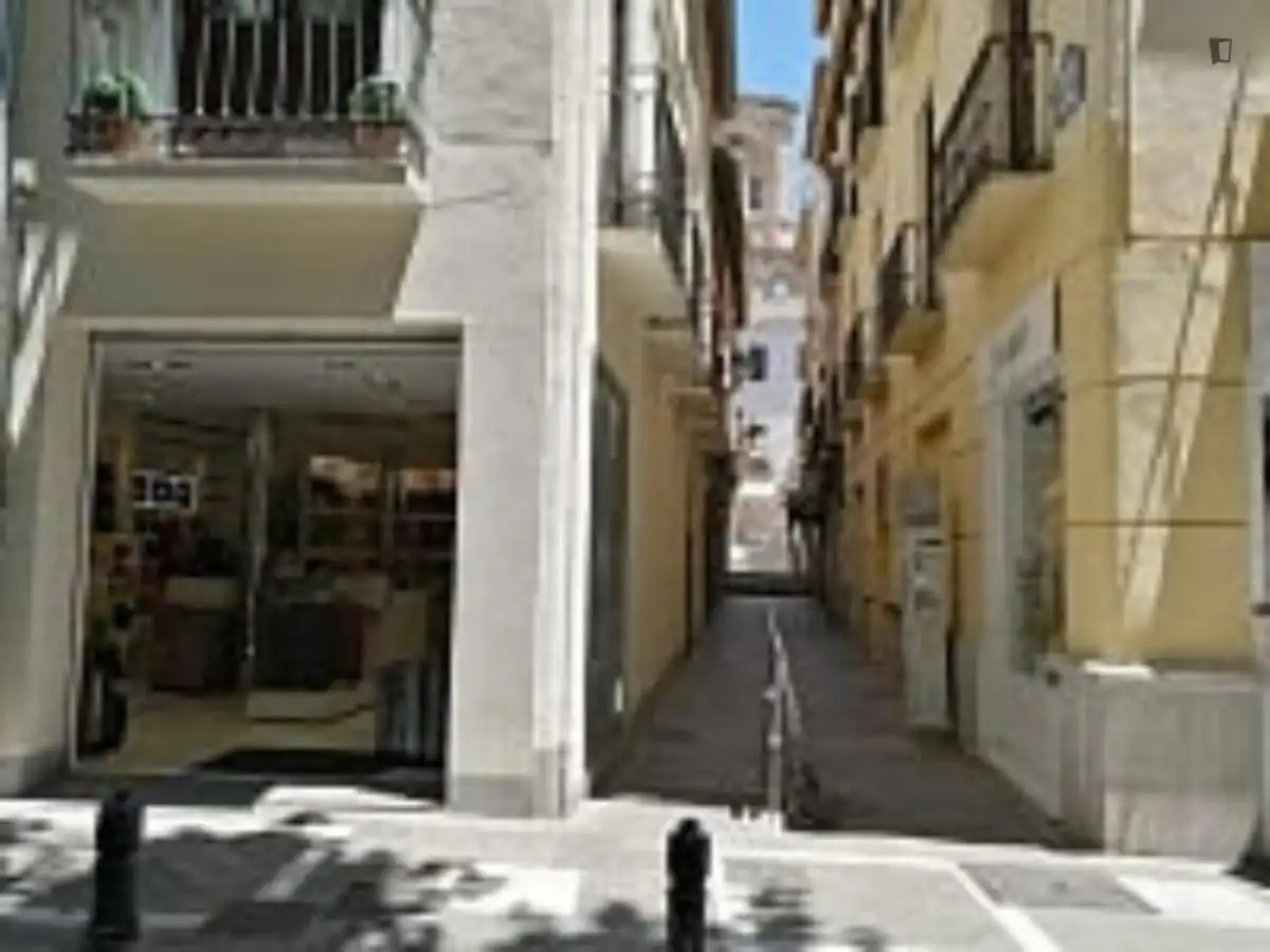 Apartamento en alquiler en Centro, imagen 29