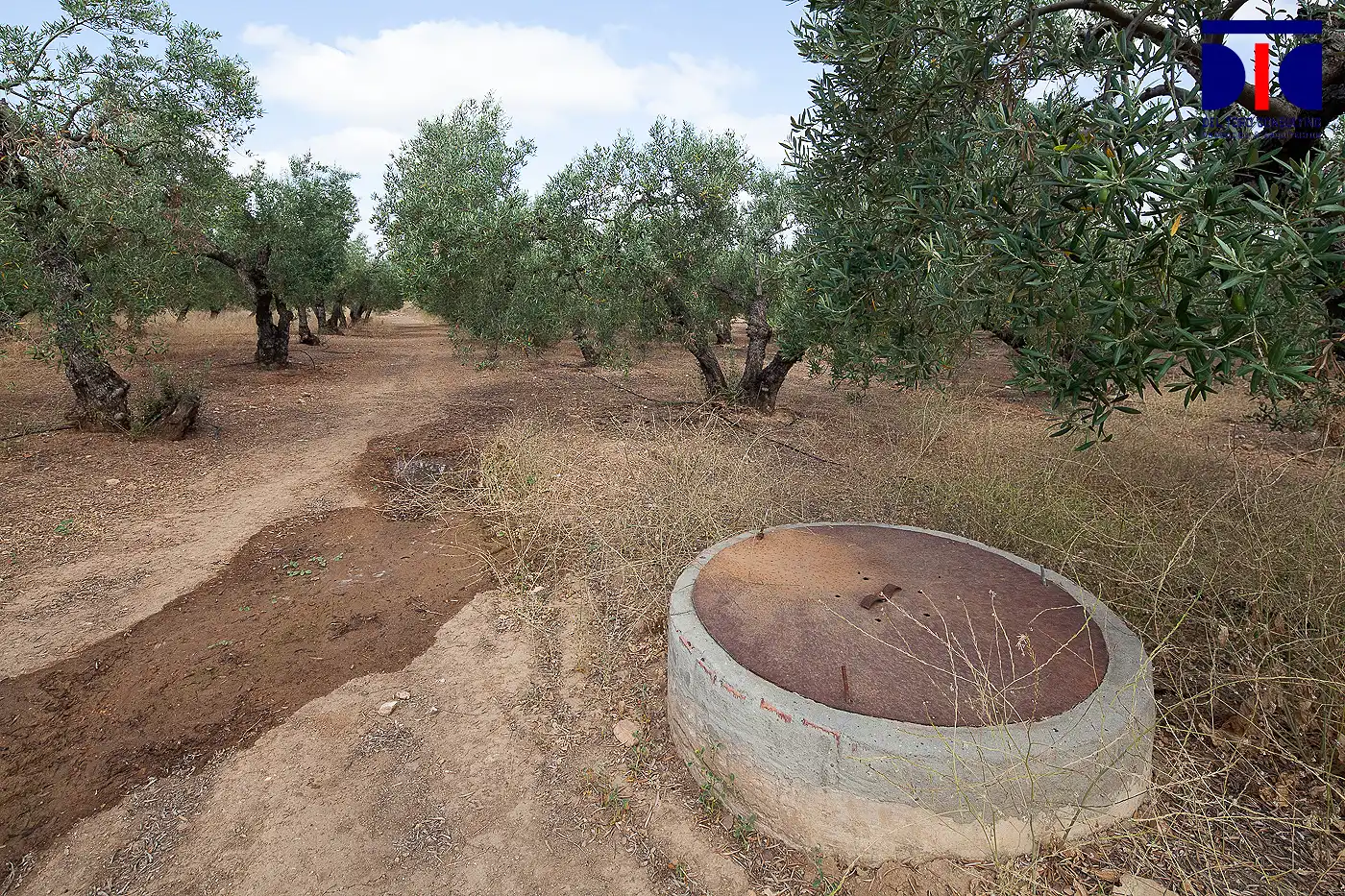 Finca rústica en venta en Carmona con Jardín privado, Terraza y Piscina