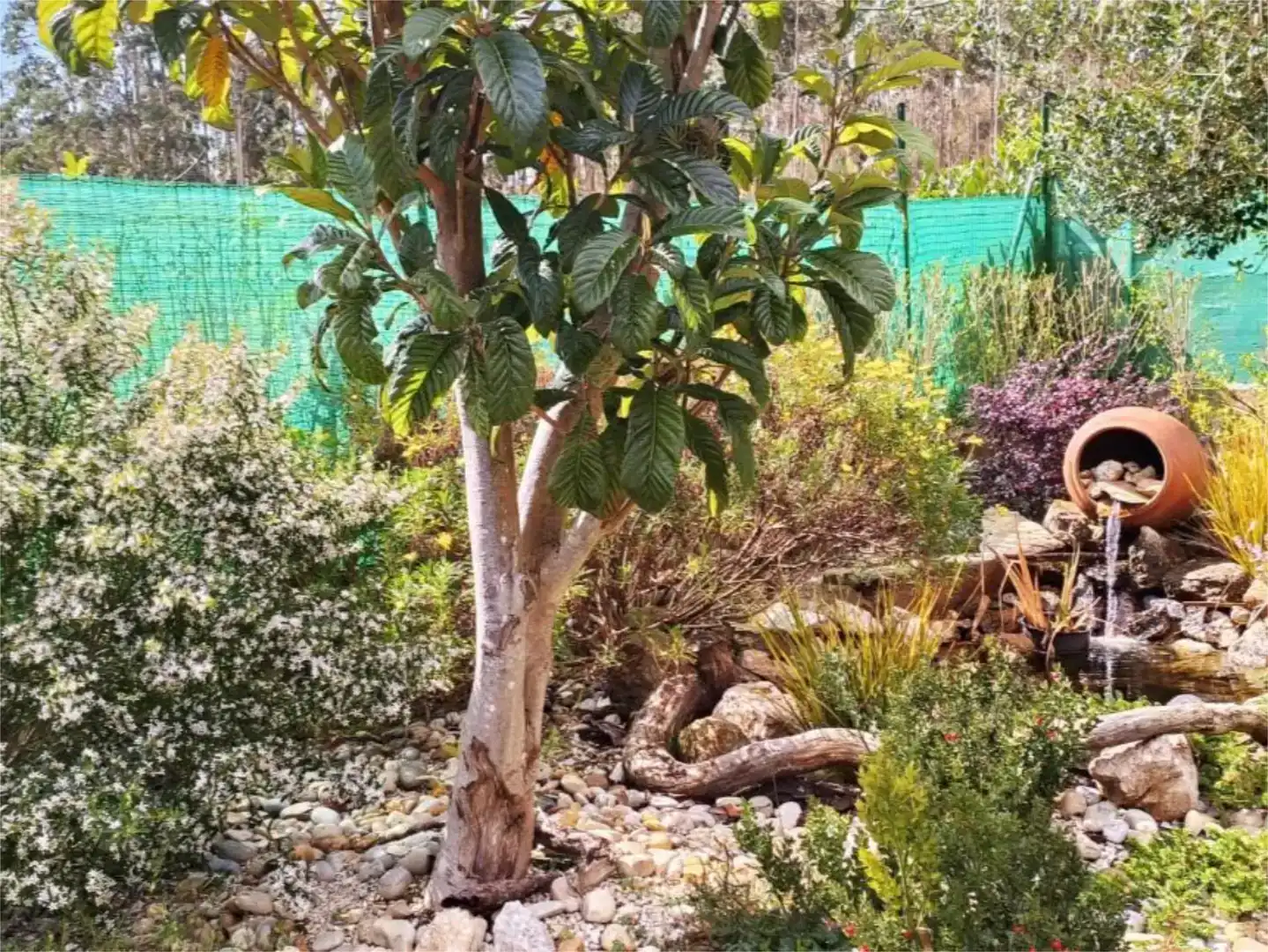 Jardí de Finca rústica en venda en San Sadurniño amb Jardí privat