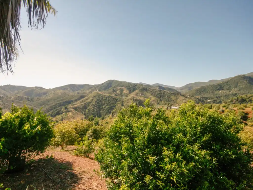 Exterior view of Houses for sale in Monda