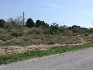 Terreno rustico in vendita a CERDERA ALTA