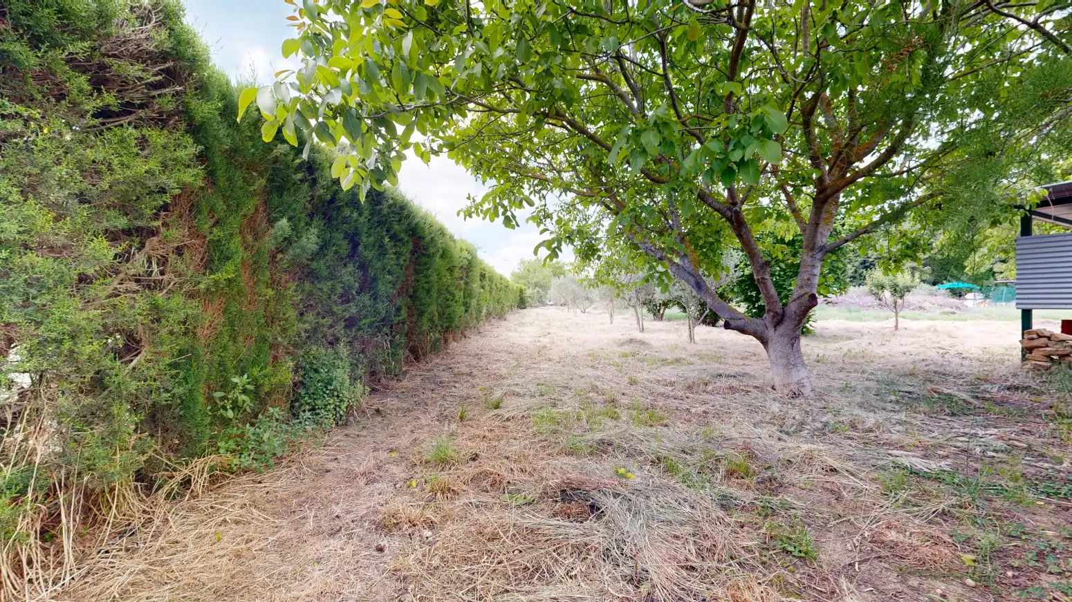 Rural land for sale in Tafalla - PARAJE LA RECUEJA, imagen 69