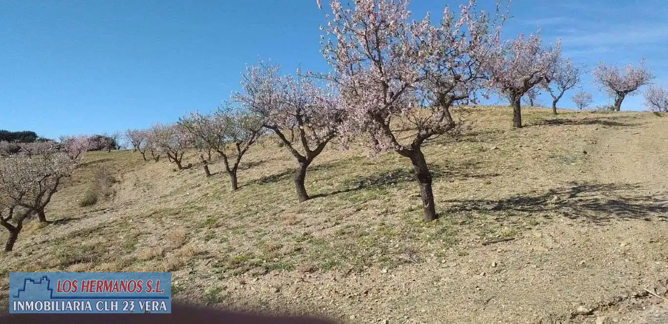 Vista exterior de Finca rústica en venta en Vélez-Rubio