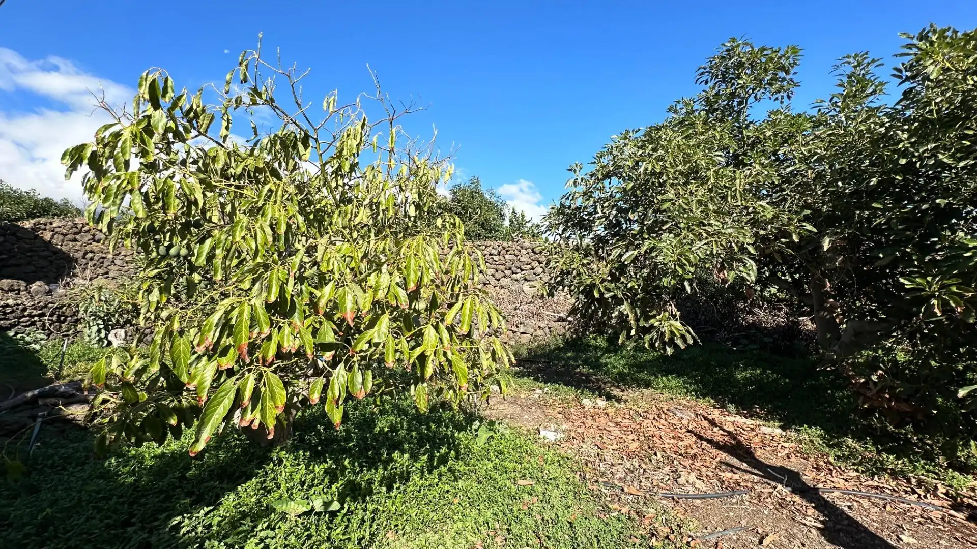 Residencial en venta en Breña Baja
