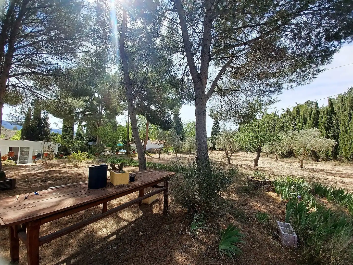 Villa à vendre à Sax, imagen 20