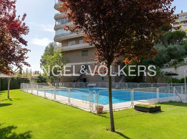 Pis amb piscina en venda a Calle de las Normas