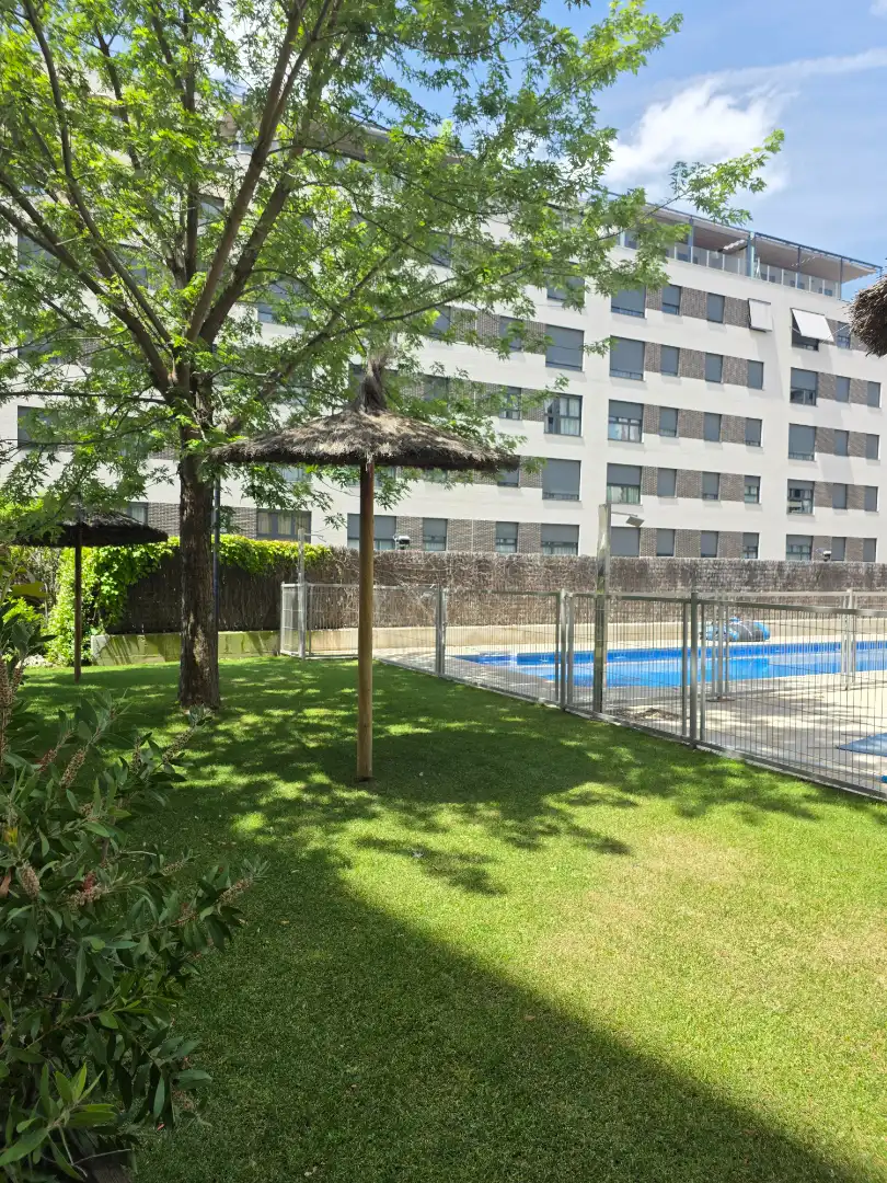 Piscina de Piso en venta en Madrid con Aire acondicionado, Parquet y Terraza
