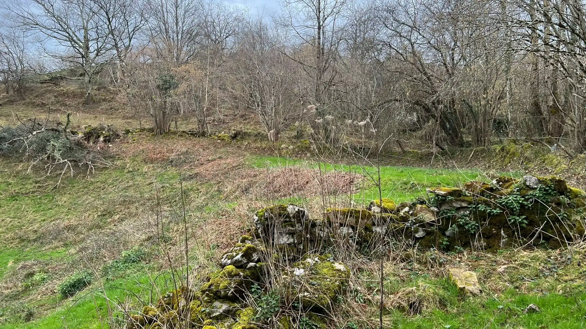 Terreno rustico in vendita a Cangas de Onís, imagen 28