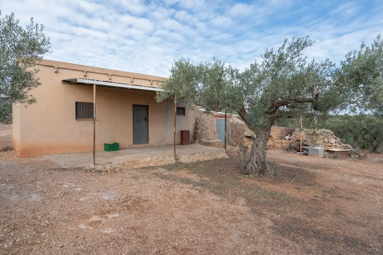 Terrain rustique à vendre à Xerta