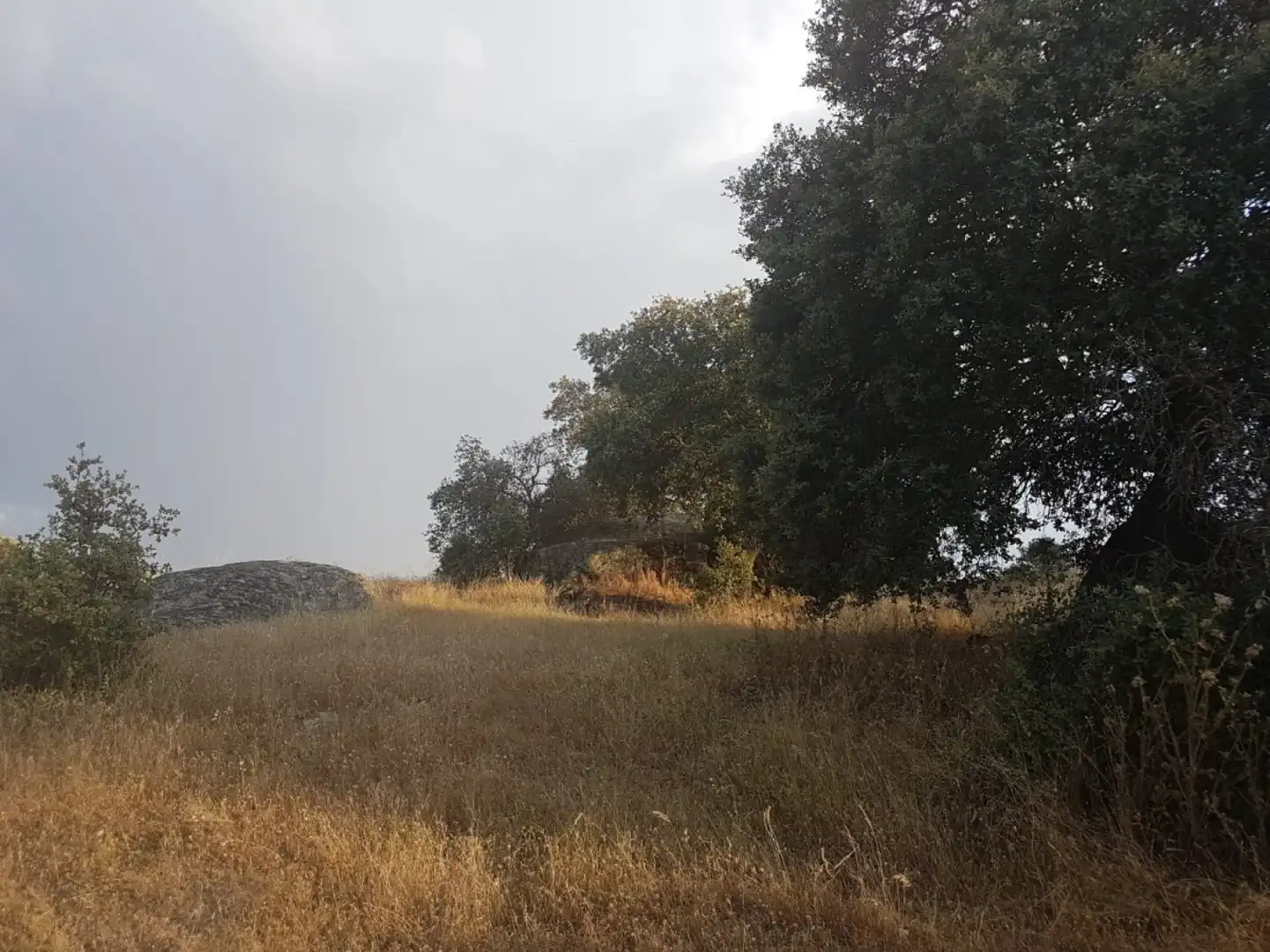 Terreni e lotti in vendita a Esparragalejo, imagen 3